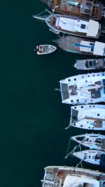 Zevk Katamaranları ve Balıkçı tekneleri Durgun Deniz yüzeyinde yan yana durur. Sönük Yelkenli Çeşitli Yelkenliler Doğrudan Videonun Üzerinde