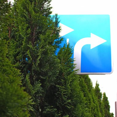 Thuja Green Çitleri kavşağın yanındaki yolda iki şeritli sağa dönüş işareti engellendi.