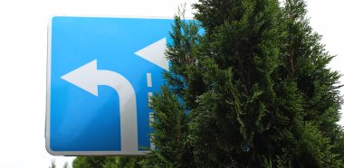 Crossroad 'un önündeki Uzun Thuja Çiti' nin Arkasında Sola Dönme İzinli Yol İşareti