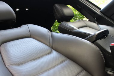 Premium bir arabada deri, yanal ve bel destekleyici rulo. Business class vagonunda uzun bir yolculuk için konfor ve kolaylık