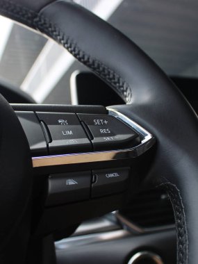Speed and lane departure warning system control unit on the steering wheel of a car 