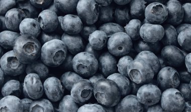 Olgun Böğürtlen Kapanış Stok Fotoğrafı. Duvar Kağıdı veya Arkaplan için organik böğürtlen Kapanışı Fotoğrafı 