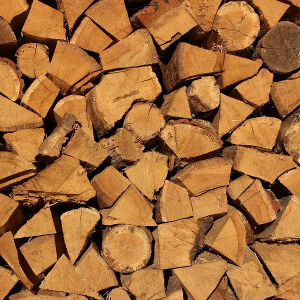 Kesildikten sonra yığılmış meşe ağacının düz bir yüzeyinin kare fotoğrafı. 