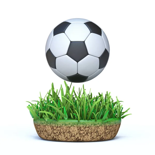 Fotbal Fotbal Minge Iarba Insula Redare Ilustrație Izolat Fundal Alb — Fotografie, imagine de stoc