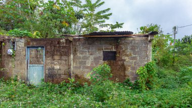 Casa abandonada cubierta por moho y vejetion