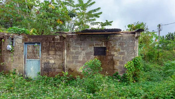Casa Abandonada Cubierta Por Moho Vegetacion — Foto de Stock