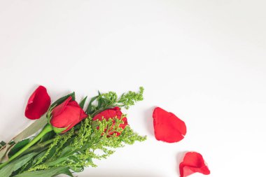 hermosas rosas y petalos