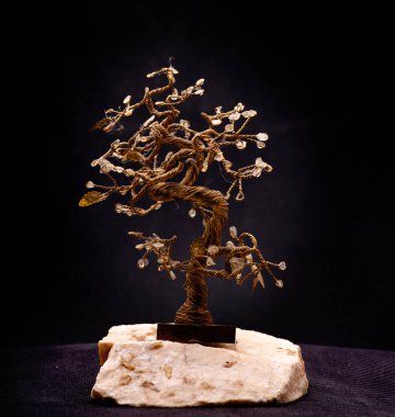 Güzel botanik fotoğrafı, doğal duvar kağıdı.