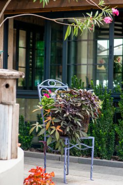 Parktaki güzel bahçe.