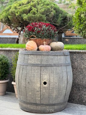 Bahçedeki güzel beyaz ve kahverengi bir tahta varilin yakın plan çekimi.