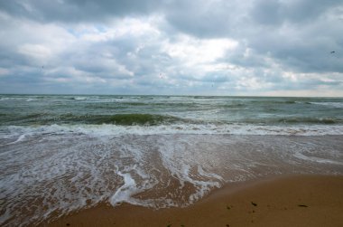 Baltık deniz plajı, yaz ve deniz manzarası