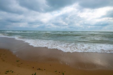 Baltık sahili, güzel bir sahil, bulutlu bir gün..