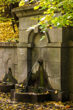 Parktaki sonbahar çeşmesi