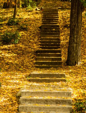 Sonbahar parkında merdivenler