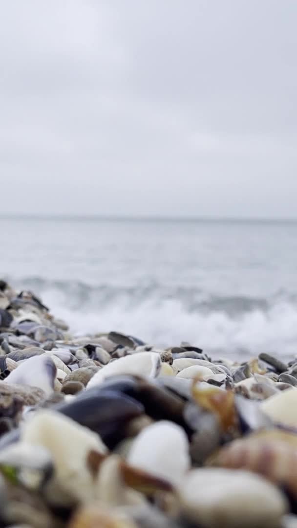 海滨模糊的背景 — 图库视频影像