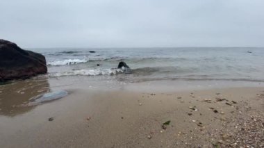 Dalgalar sahile çarpıyor.