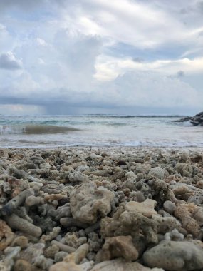 Dalgalar sahile çarpıyor.