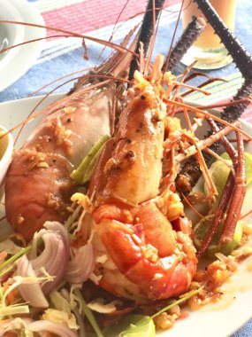 taze karides yakın çekim