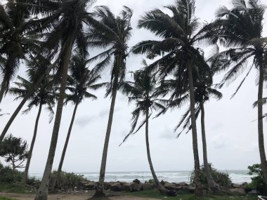 Güzel deniz manzarası