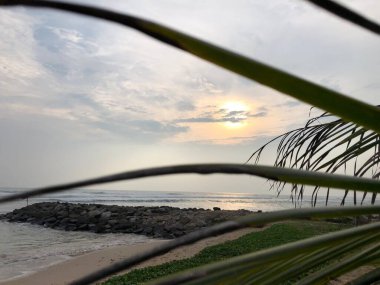 Doğanın güzel manzarası