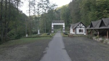 Sabah güzel bir orman