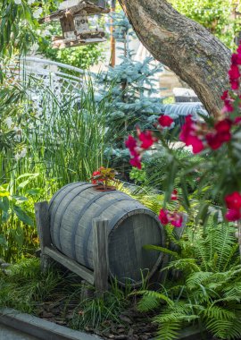 Bahçenin arka planında eski ahşap fıçı ve kırmızı şarap şişesi.