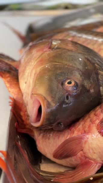 Рыба Рынке — стоковое видео