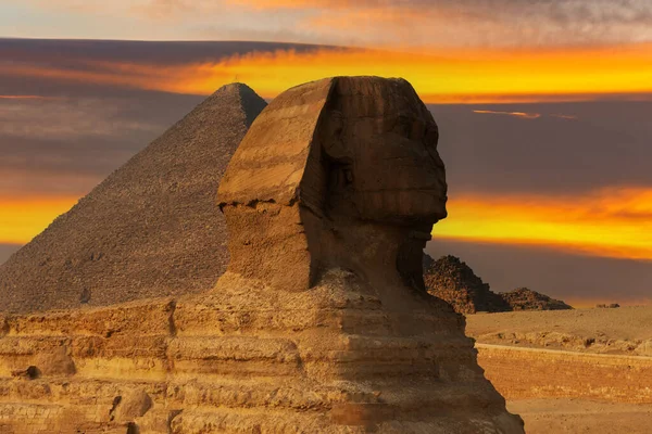 Скульптура Сфинкса Фоне Приамов Хеопса Плато Гиза Египте Фоне Живописного — стоковое фото