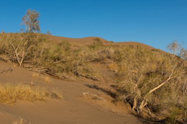 Bir yaz gününde dev kum tepeciği