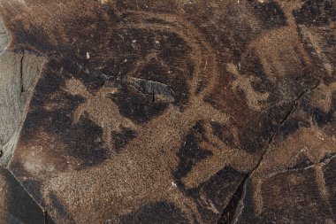 Güneydoğu Kazakistan 'daki Tambvly yolunun eski petrogliflerinde av sahnesi.