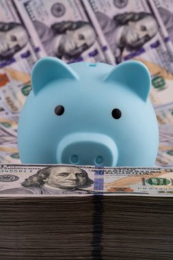 Mavi domuz kumbarası ve büyük bir yığın 100 Amerikan doları.