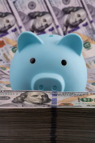 Mavi domuz kumbarası ve büyük bir yığın 100 Amerikan doları.