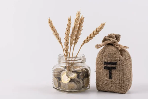 Пшеничні Вушка Казахська Валюта Тенге — стокове фото