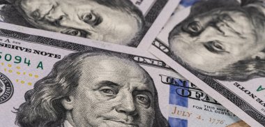 Birkaç yüz dolarlık banknotun parçaları.