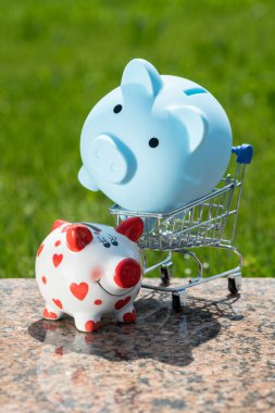 Mavi bir kumbara, bir süpermarketten alınmış minyatür bir alışveriş arabasında yeşil çimenlerin arkasında yatıyor.