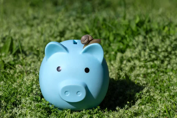 Snail Crawls Blue Piggy Bank — Stock Photo, Image