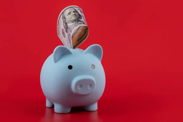Blue Piggy Bank 100 American Dollars Red Background — Stock Photo, Image