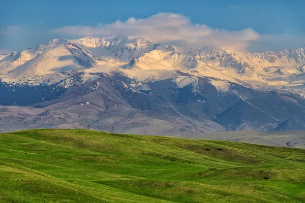 Malownicza Dolina Podgórska Pokryte Śniegiem Szczyty Wiosenny Wieczór — Zdjęcie stockowe