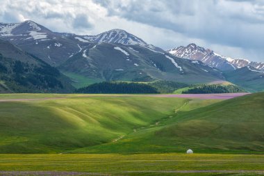Bir yaz günü resimli alp çayırı