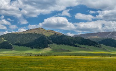 Bir yaz günü resimli alp çayırı