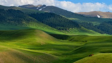 Bir yaz günü resimli alp çayırı