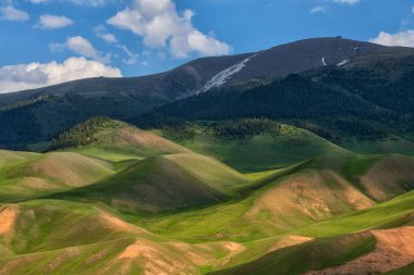 Bir yaz günü resimli alp çayırı