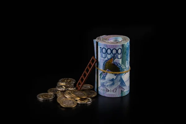 Fogalmi Telek Kazah Valutáról Tenge Kazah Bankjegyekkel Érmékkel — Stock Fotó