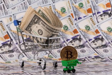 Bitcoin kripto para sembollü altın sikke, minyatür süpermarket alışveriş arabaları ve Amerikan doları