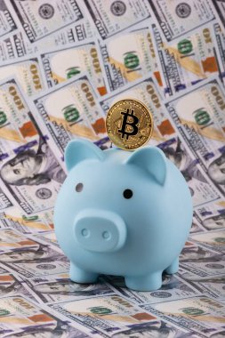 Bitcoin kripto para sembolü ve 100 Amerikan dolarının arka planında domuz kumbarası olan altın para.