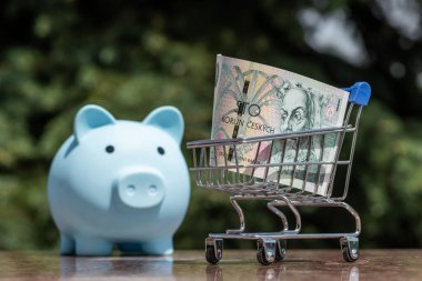 Minyatür bir süpermarket alışveriş arabasında 100 CZK banknot