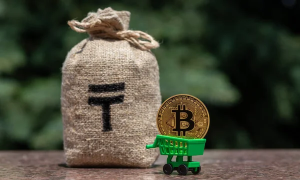 Moeda Com Símbolo Criptomoeda Bitcoin Saco Dinheiro Com Símbolo Moeda — Fotografia de Stock