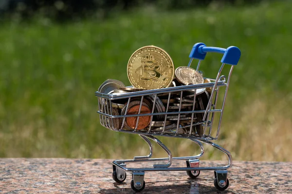 Arany Érme Bitcoin Cryptocurrency Szimbólummal Érmékkel Világ Különböző Országaiból Egy — Stock Fotó