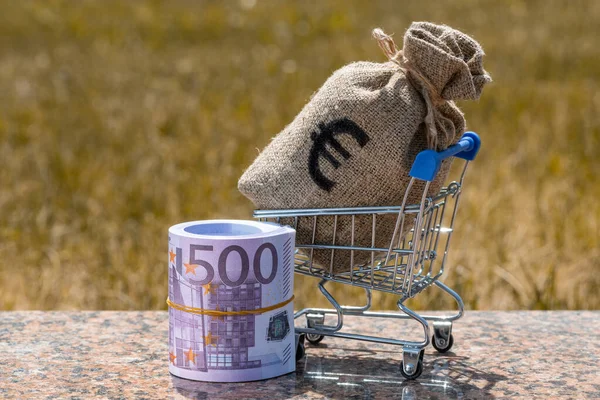 Грошова Сумка Символами Євро Мініатюрному Кошику 500 Євро Банкноти — стокове фото