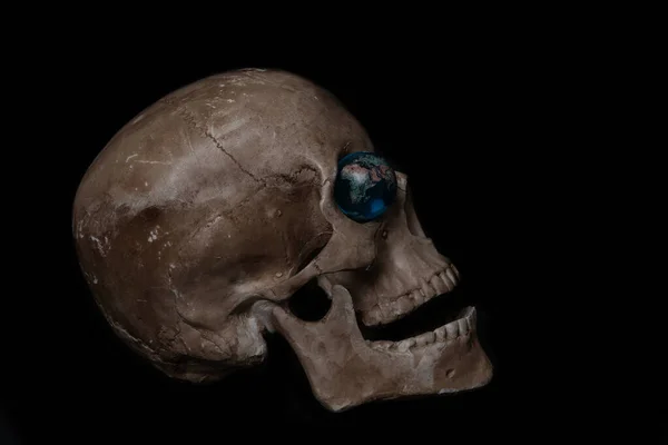 사람의 두개골 — 스톡 사진